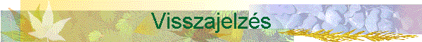 Visszajelz�s