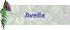 Avella
