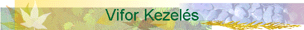 Vifor Kezel�s