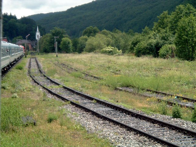 Szkely Gyors 2009 008.jpg