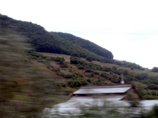 Szkely Gyors 2009 009.jpg