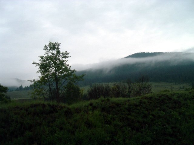 Szkely Gyors 2009 064.jpg