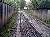 Szkely Gyors 2009 015.jpg