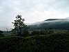 Szkely Gyors 2009 064.jpg