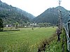 Szkely Gyors 2009 073.jpg