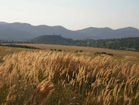 magyartaj7