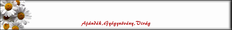 Ajndk,Gygynvny,Virg
