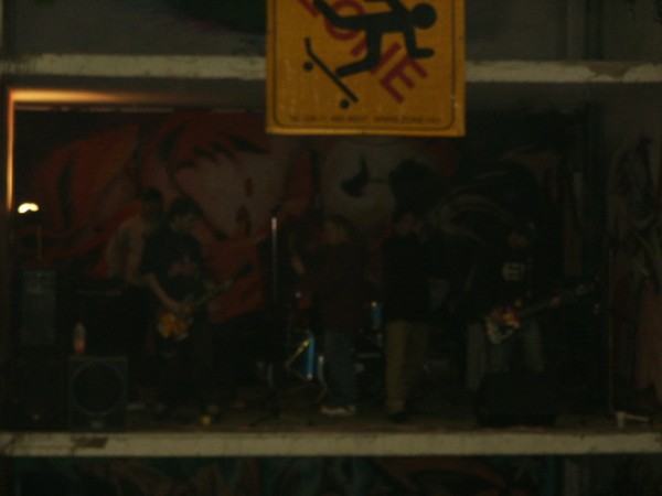 113.jpg
