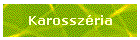 Karosszria
