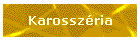 Karosszria