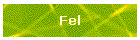 Fel