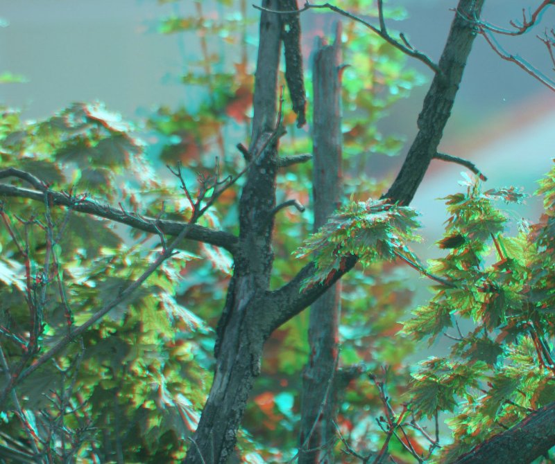 fak_st_resize.jpg