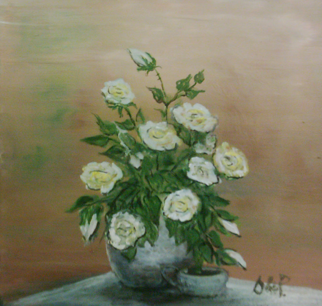 Feh�r r�zs�k 30*30 olaj, farost