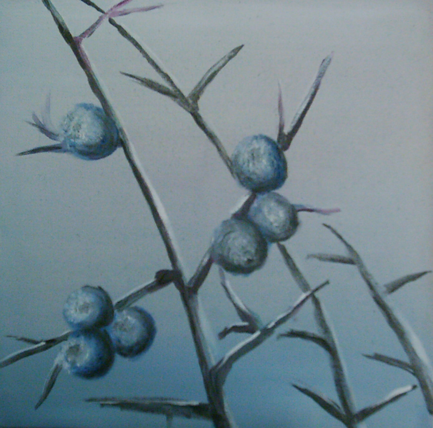 K�k�ny 30*30 olaj, v�szon