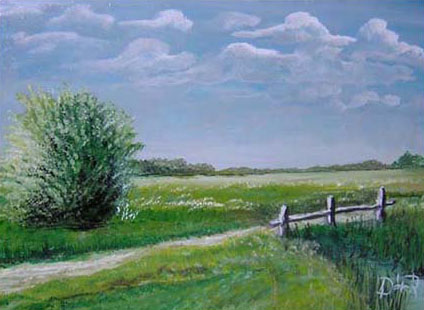 M�jus 54.5*39.5  olaj,farost