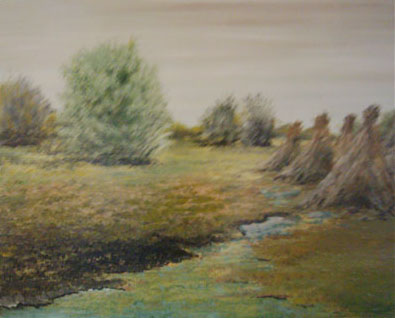 N�dk�pok  50*40  olaj,farost