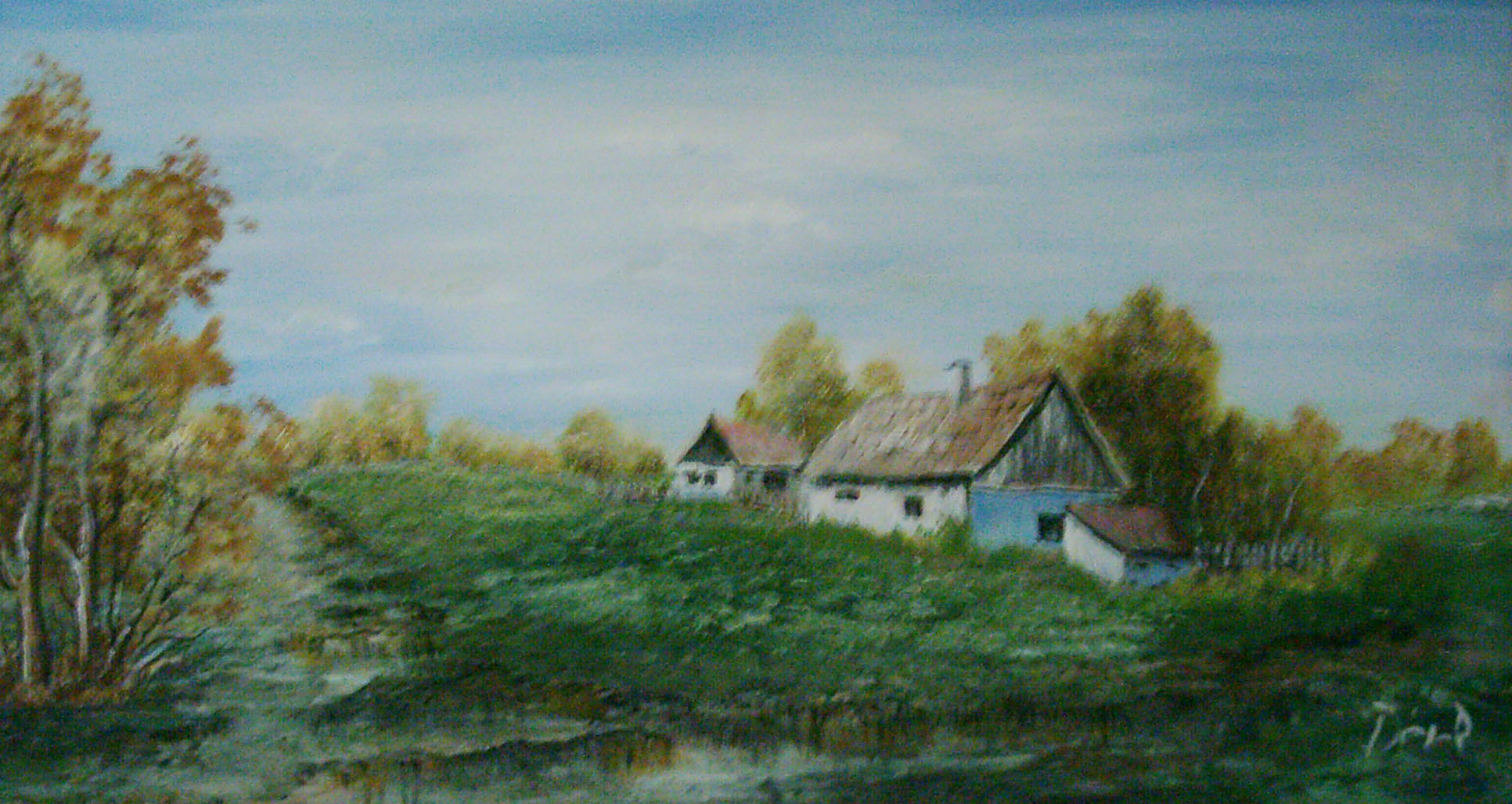 Tanya 48*88 olaj, farost