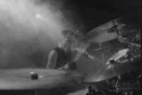 Axel a (tányér-)rengetegben