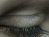 avatar_001.gif
