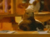avatar_015.gif