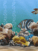 avatar_060.gif