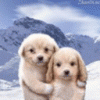 avatar_062.gif