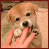 avatar_089.gif