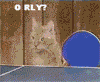 avatar_136.gif