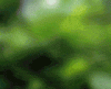 avatar_162.gif