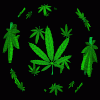avatar_164.gif