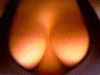 avatar_170.gif