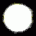 avatar_221.gif