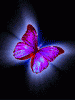 avatar_224.gif