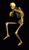 avatar_241.gif