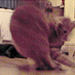 avatar_313.gif