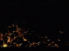 avatar_328.gif