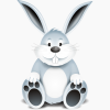 bunny.png