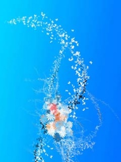 Virag_02