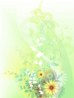 Virag_03