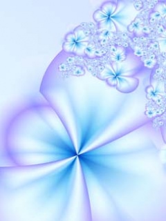 Virag_08