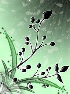 Virag_09