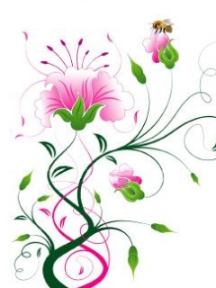 Virag_11