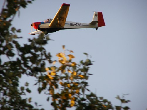 P7315176.JPG