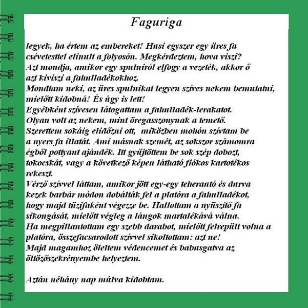 faguriga2.jpg