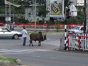 afrika0081.jpg