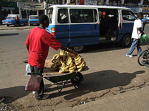 afrika0125.jpg