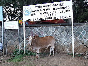 afrika0145.jpg