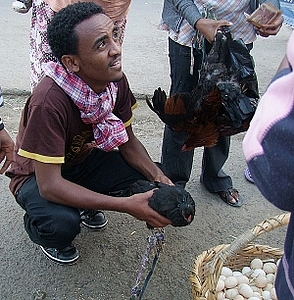 afrika0152a.jpg