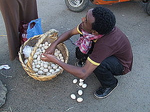 afrika0160.jpg