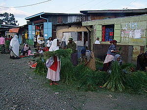afrika0171.jpg